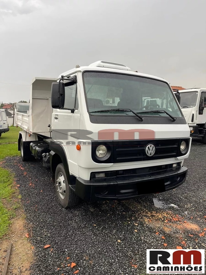 Volkswagen 8.160 2012